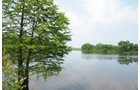 Property photo 7 - 1,025 Acres in 24 Tracts - Exellent Recreation Opportunity - Potential Building Sites - 11 Lakes & Ponds
